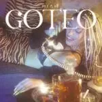 Goteo-cover