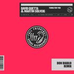Thing For You(Extended Don Diablo Remix)-cover