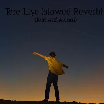Tere Liye-cover