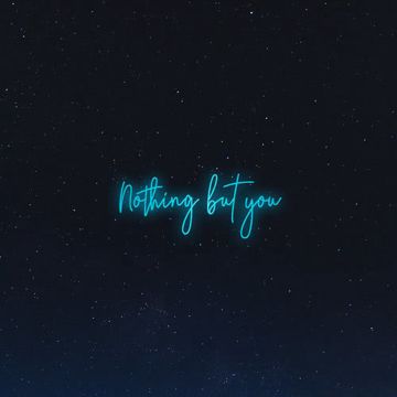 Nothing but You (feat. Seann Bowe)-cover