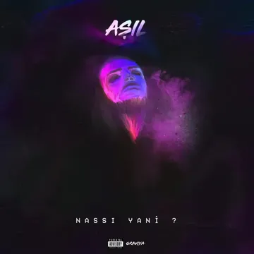 Nassı Yani-cover
