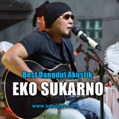 Aduhai Seribu Kali Sayang (Akustik)-cover