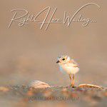 Right Here Waiting(Acoustic)-cover