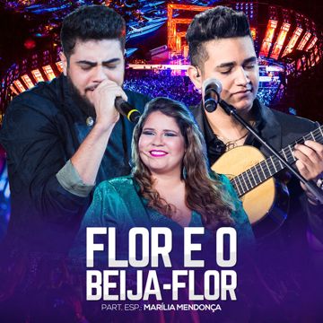 Vida Mais ou Menos(Ao Vivo)-cover