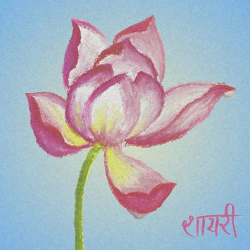 Shayari-cover