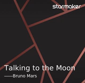Talking to the Moon-cover