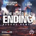 If the World Was Ending(Reggae Remix)-cover