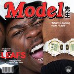 Model-cover
