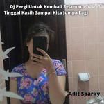 Dj Pergi Untuk Kembali Selamat Tinggal Kasih Sampai Kita Jumpa Lagi-cover