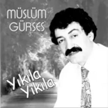Seni Nasıl Özledim-cover