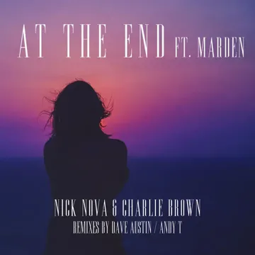 At the End (feat. Marden) [Andy T Remix]