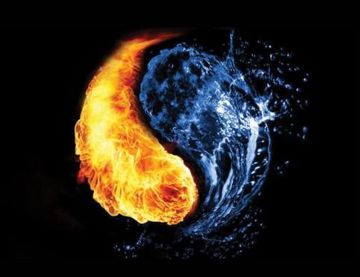 Черная кошка