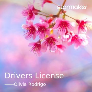 drivers license-cover