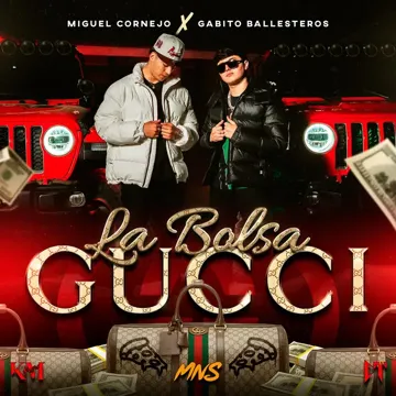 La Bolsa Gucci-cover