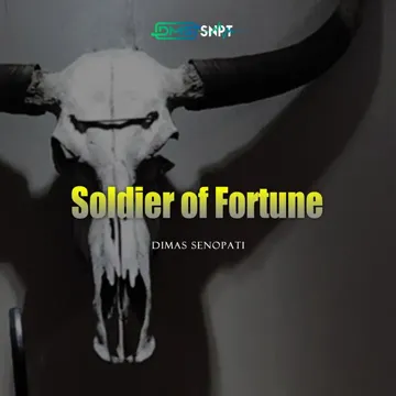 Soldier of Fortune (Acoustic)