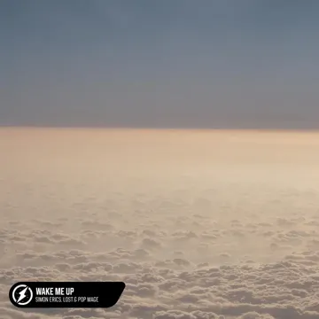 Wake Me Up-cover