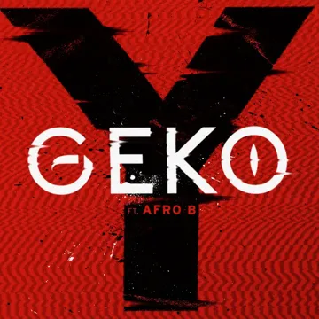 Y-cover