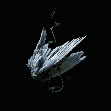 21 GRAM-cover