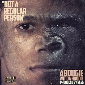 Jungle-cover