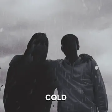 COLD-cover