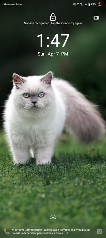 coveImg