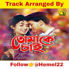 তোমাকে চাই শুধু 