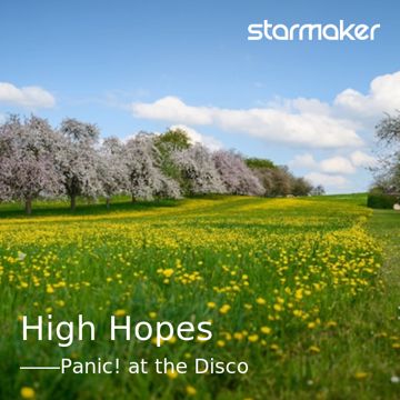 High Hopes-cover