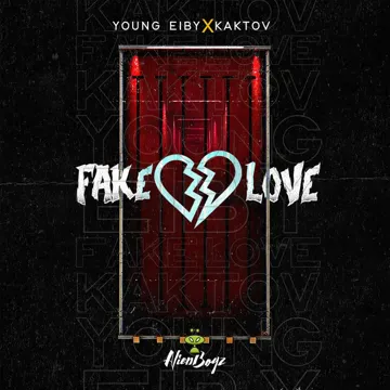 Fake Love-cover