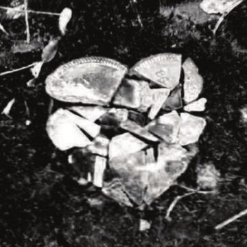 Letters-cover