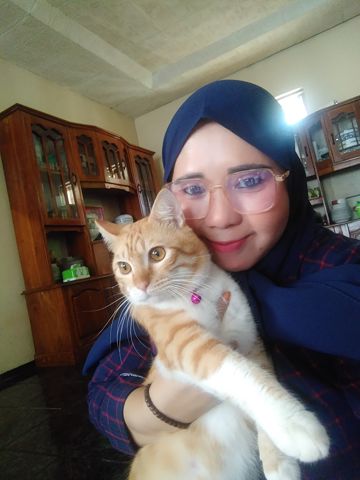 coveImg