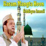 Reham Karo Ya Shahe Do Alam-cover