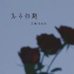忘了归期(DJLHN版)(DJ版)-cover