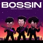 Bossin-cover