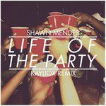 Life Of The Party(混音 Kayliox Remix)