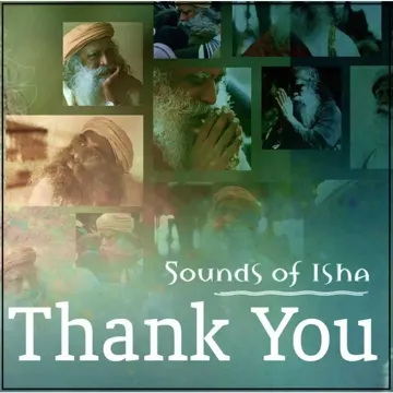 Thank You: You Are My Perfect Mirror-cover
