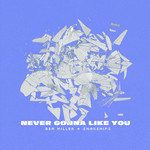NEVER GONNA LIKE YOU-cover
