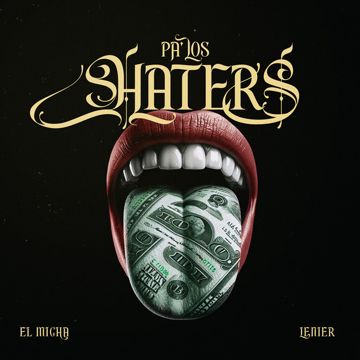 Pa los Haters-cover