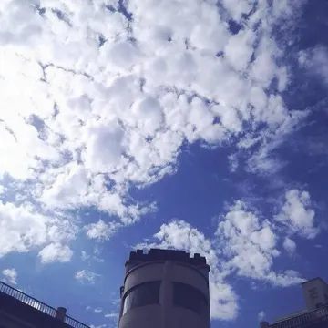 西财天府的风-cover