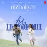 Nizhaliyae (From &quot;Hi Nanna&quot;)-cover