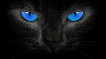 coveImg
