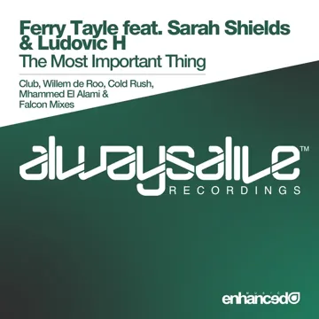 The Most Important Thing (Falcon Remix)-cover