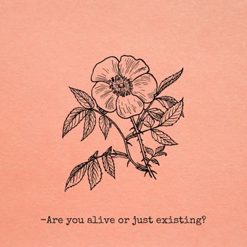 coveImg