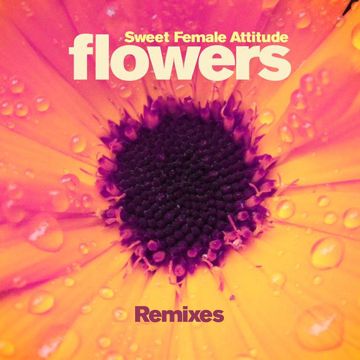 Flowers(Wackside's Tweaker Mix)-cover