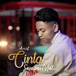 Cinta Sampai Mati-cover