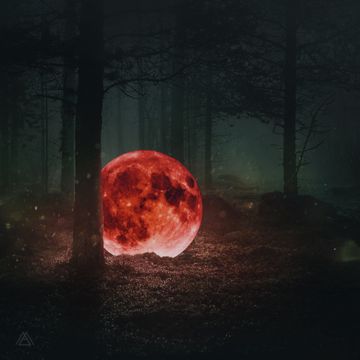 숲의 목소리 (Voice Of The Forest) (Feat. 이라온)-cover
