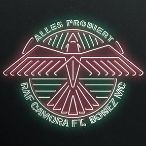 Alles Probiert-cover