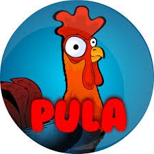 MANOK NA PULA