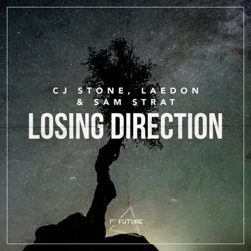 Losing Direction-cover