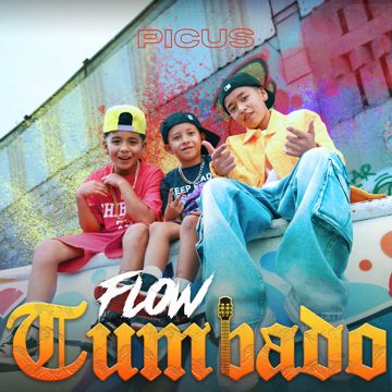 Flow Tumbado-cover