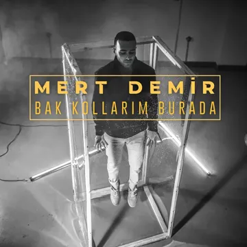 Bak Kollarım Burada-cover